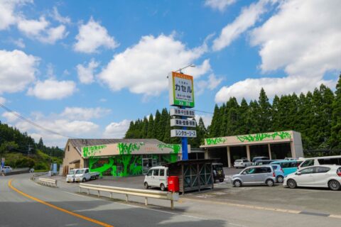 株式会社カセル（レンタカー及び車両修理）